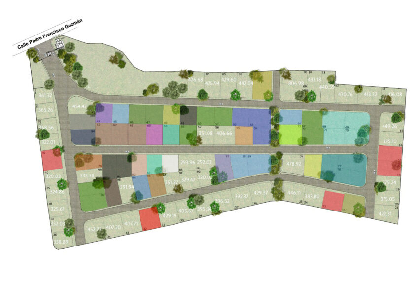 Disponibilidad Nogal